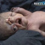 レス1番の画像サムネイル