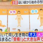 レス1番の画像サムネイル