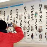 レス1番の画像サムネイル