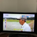 レス1番の画像サムネイル