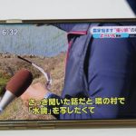レス1番の画像サムネイル