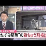 レス7番の画像サムネイル