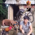 レス1番の画像サムネイル