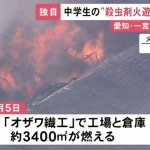レス1番の画像サムネイル