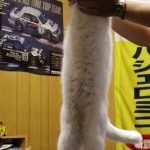 レス1番の画像サムネイル