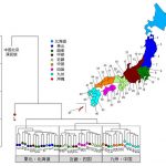 レス1番の画像サムネイル