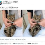 レス1番の画像サムネイル