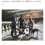 レス35番の画像サムネイル