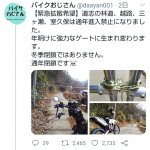 レス1番の画像サムネイル