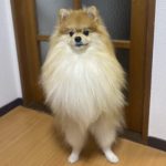 レス1番の画像サムネイル