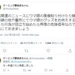 レス1番の画像サムネイル