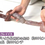 レス1番の画像サムネイル