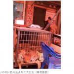 レス1番の画像サムネイル