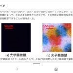 レス1番の画像サムネイル