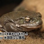 レス1番のサムネイル画像