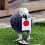 レス1番のサムネイル画像