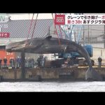 レス1番のサムネイル画像