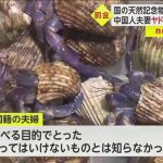 レス1番のサムネイル画像
