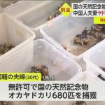 レス1番のサムネイル画像