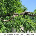 レス1番のサムネイル画像