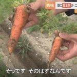 レス1番のサムネイル画像