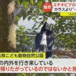 レス1番のサムネイル画像