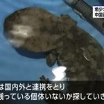 レス1番のサムネイル画像