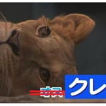 レス1番のサムネイル画像