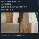 レス1番のサムネイル画像