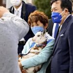 レス14番の画像1