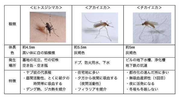記事サムネイル