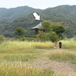 レス1番のリンク先のサムネイル画像