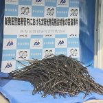 レス1番のリンク先のサムネイル画像