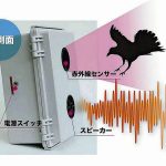 レス1番のリンク先のサムネイル画像