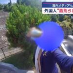 レス1番のリンク先のサムネイル画像
