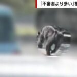 レス1番のリンク先のサムネイル画像