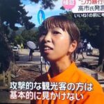 レス1番の画像4