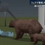 レス1番のリンク先のサムネイル画像