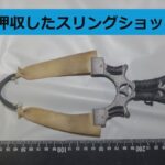 レス1番のリンク先のサムネイル画像