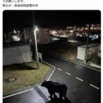 レス1番の画像1