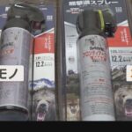 レス1番のリンク先のサムネイル画像