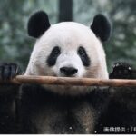 レス1番の画像3