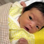 レス1番のリンク先のサムネイル画像