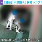 レス1番のリンク先のサムネイル画像