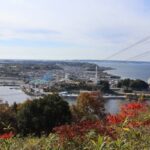 レス1番のリンク先のサムネイル画像