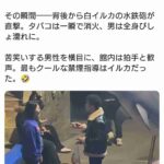 レス2番の画像1