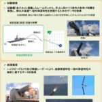 レス3番の画像4