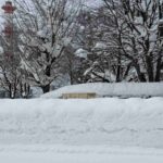 レス2番の画像1