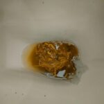 レス2番の画像1