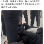 レス1番の画像1